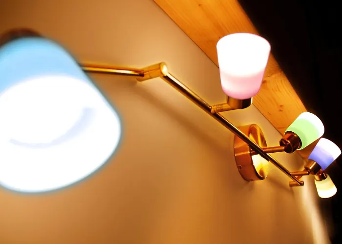 Bombyx
