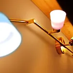 Bombyx